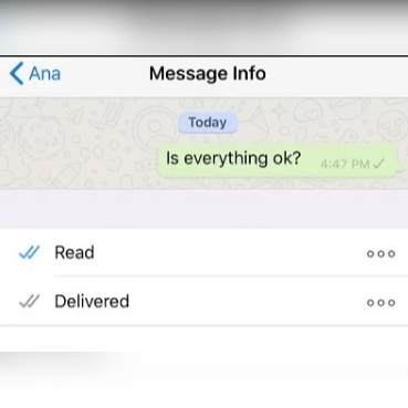 whatsapp double check mark meanings